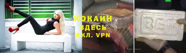 стаф Абаза