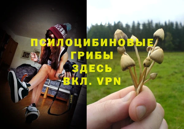 Альфа ПВП Алексеевка